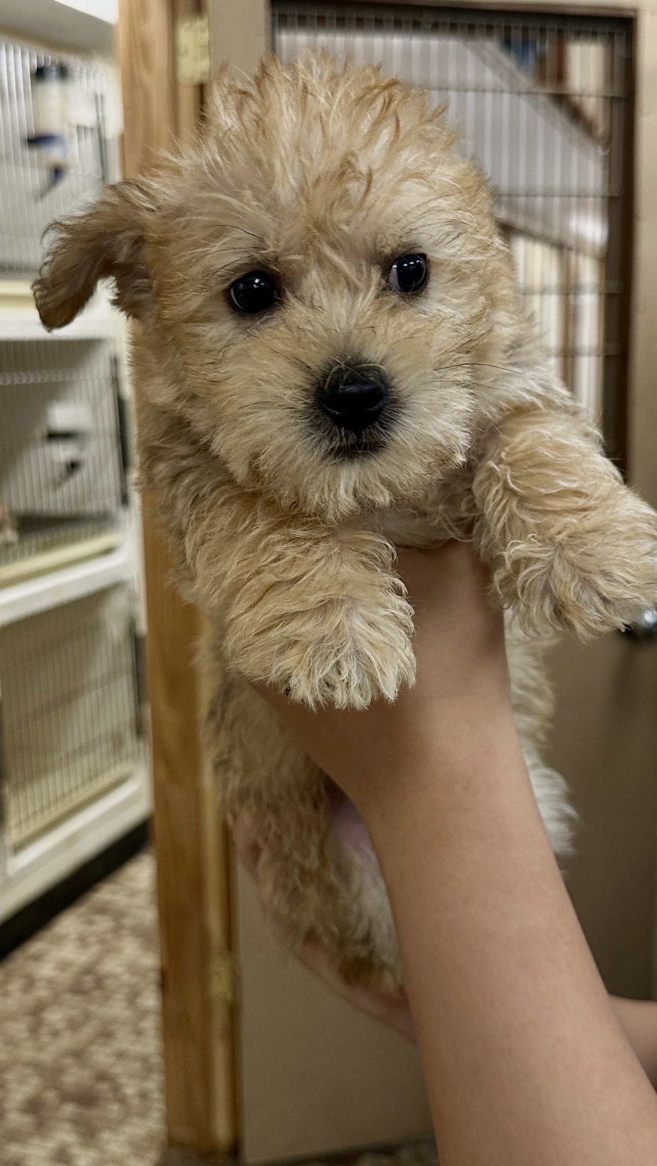 Family Pet Center photo 11