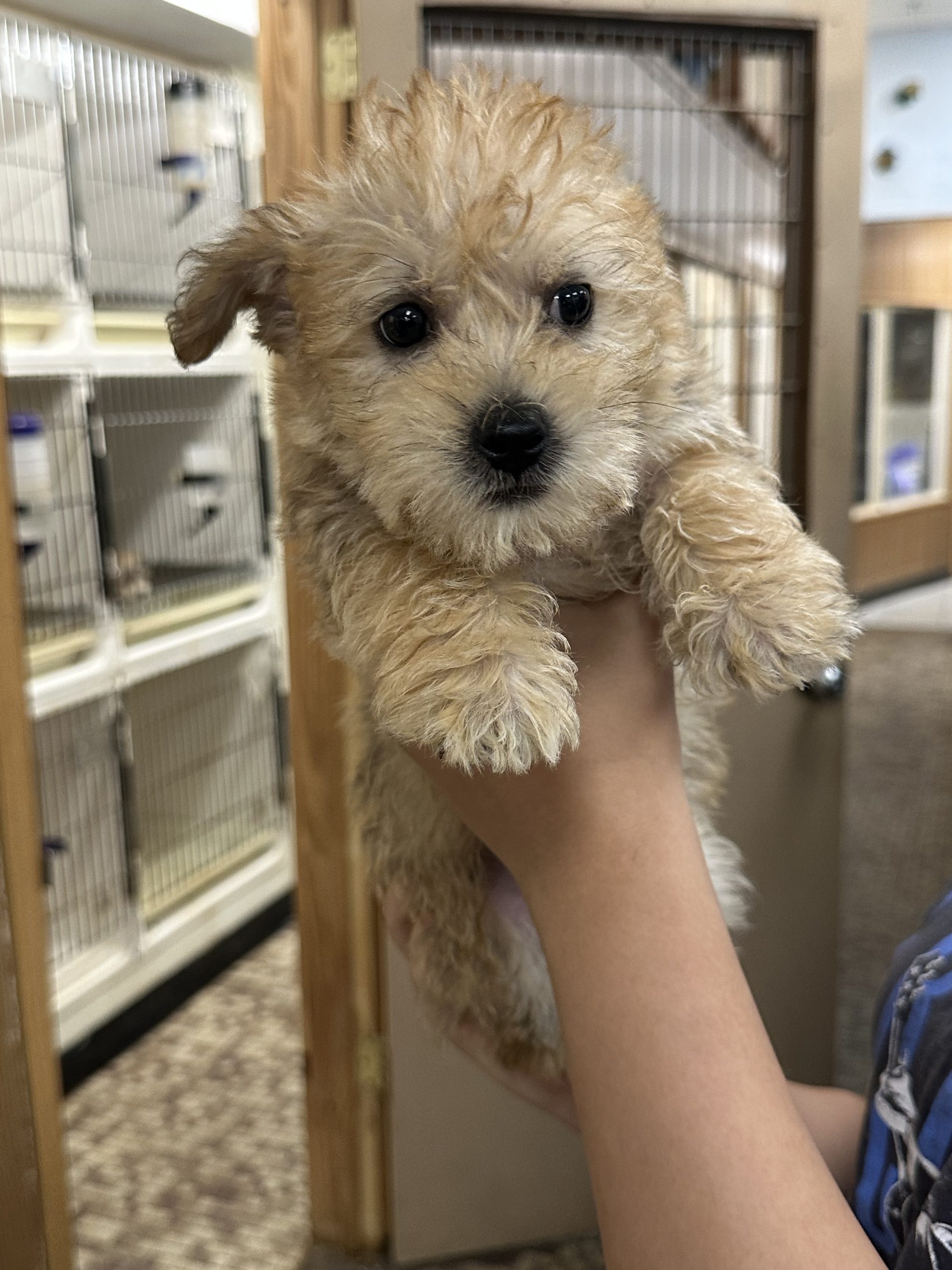 Family Pet Center photo 7
