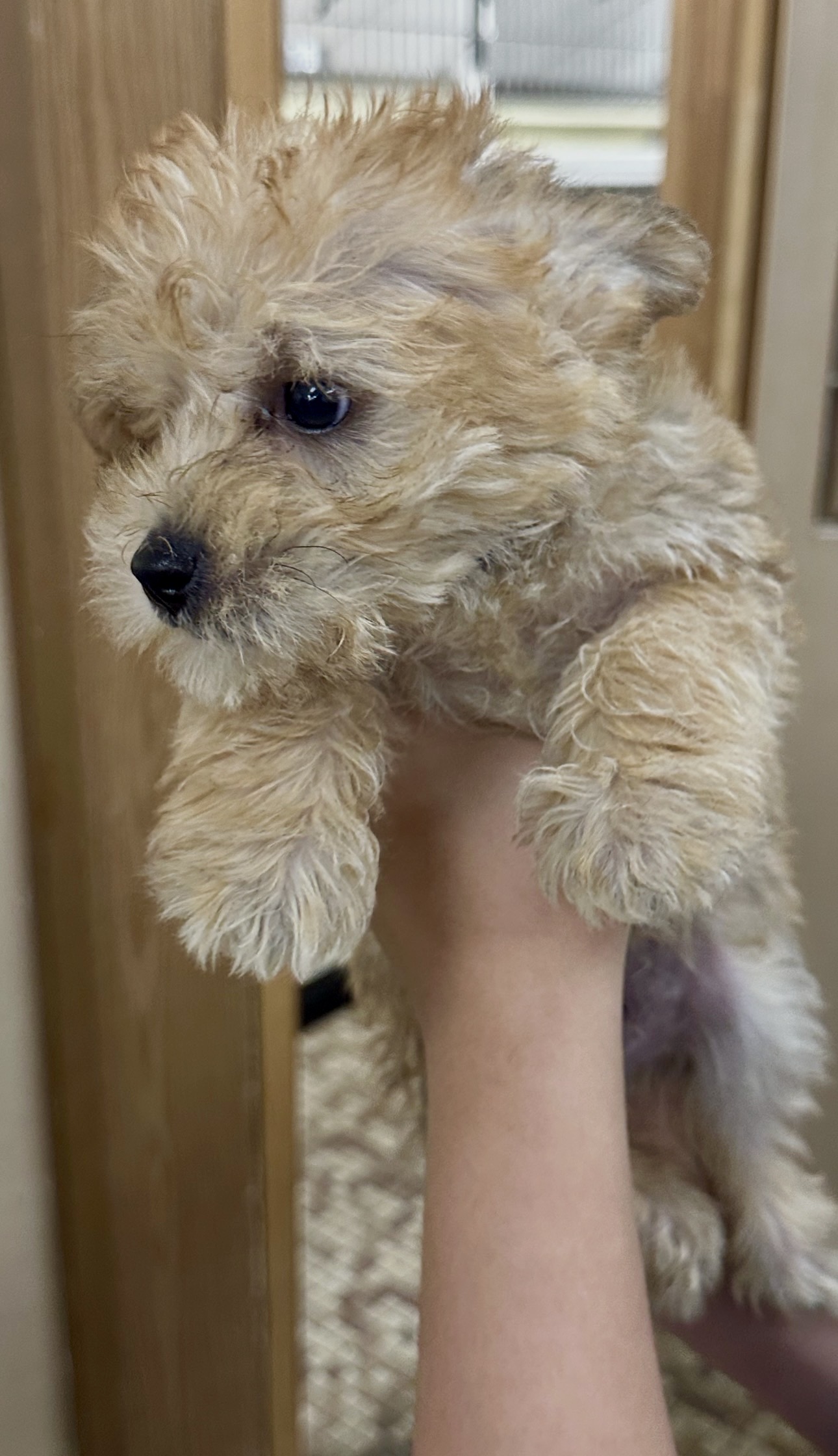 Family Pet Center photo 12