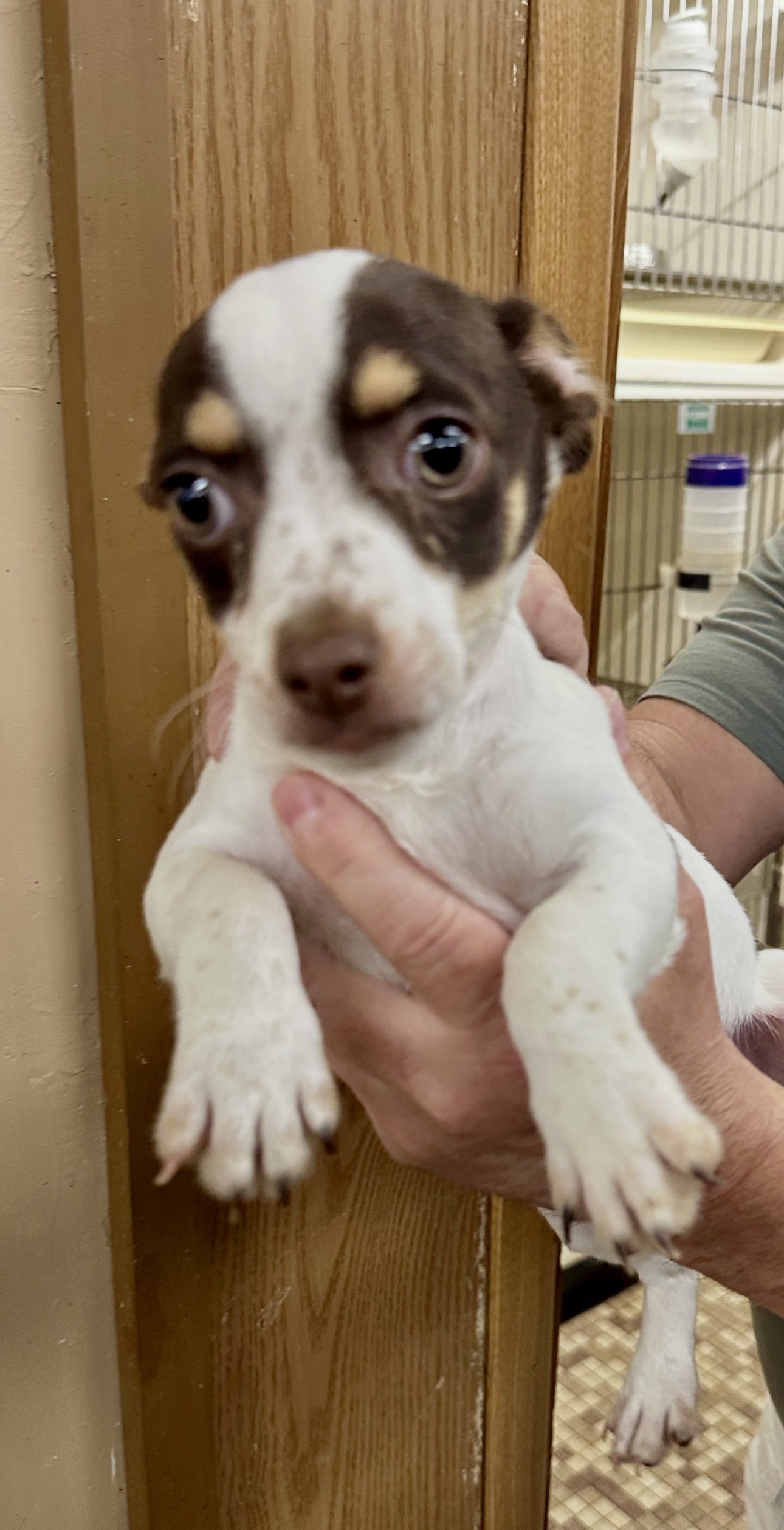 Family Pet Center photo 16