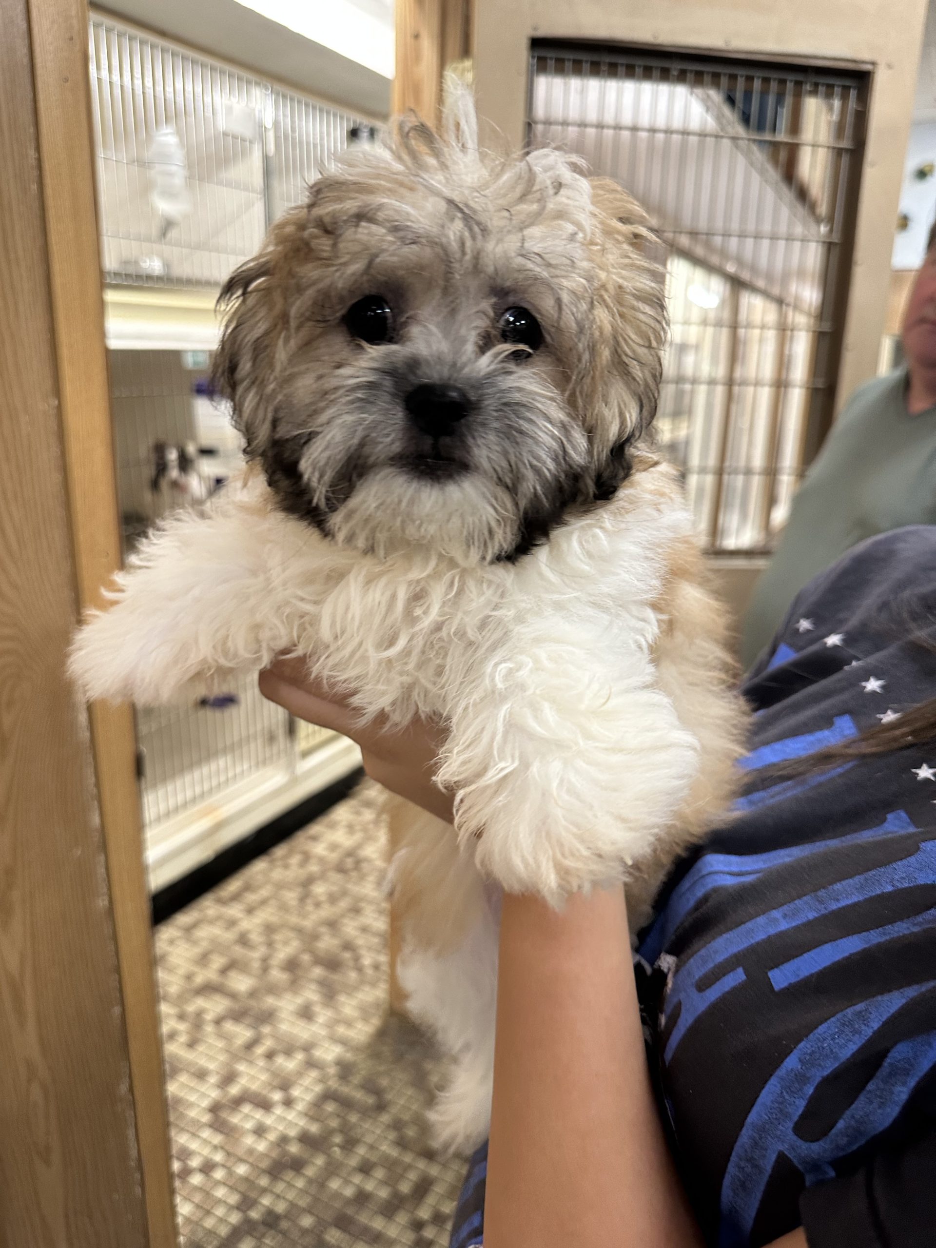 Family Pet Center photo 4