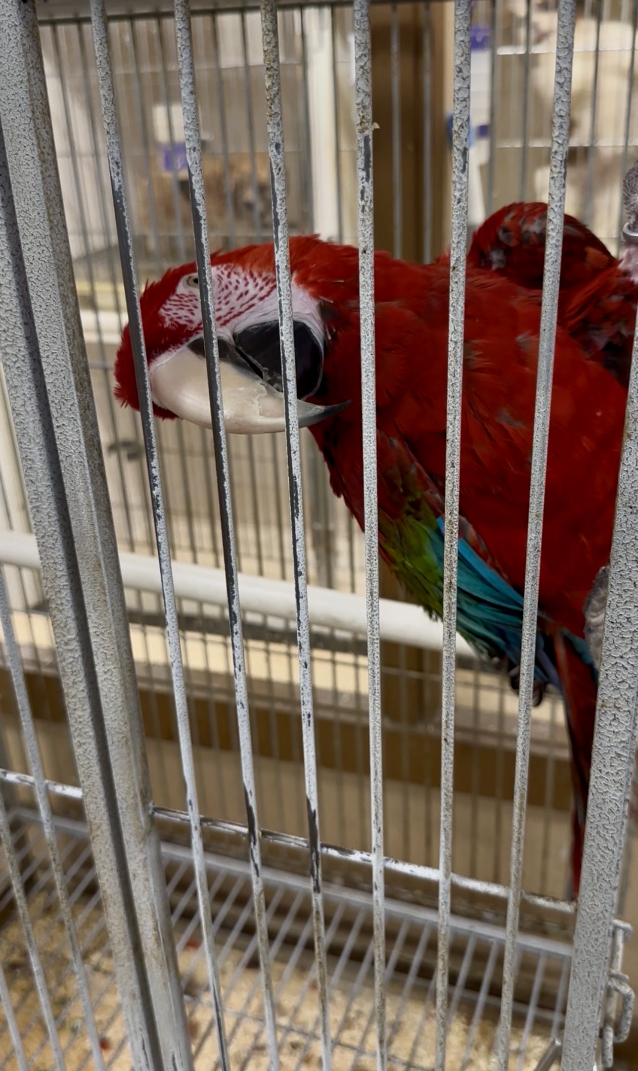 Family Pet Center photo 9