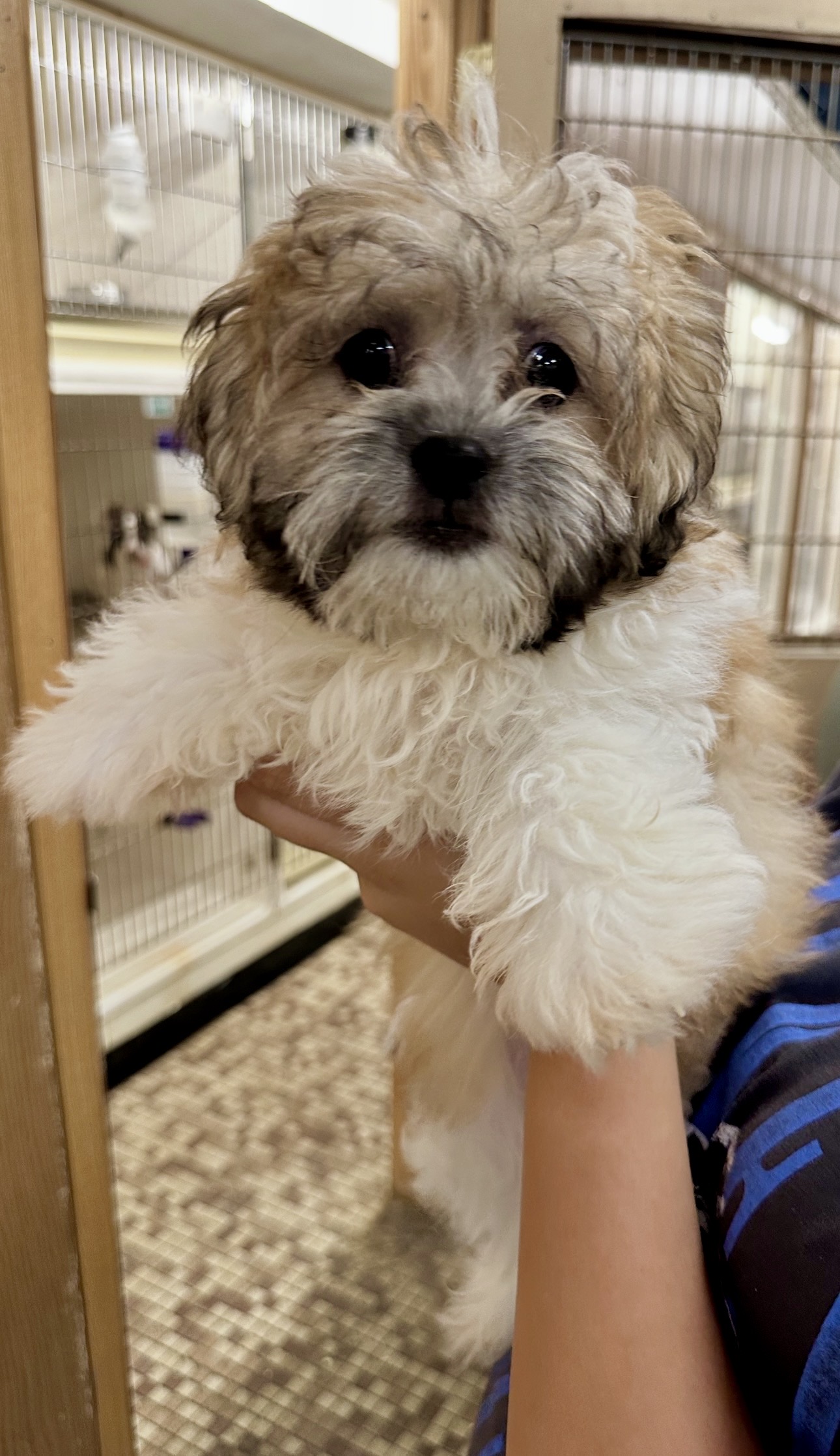 Family Pet Center photo 14