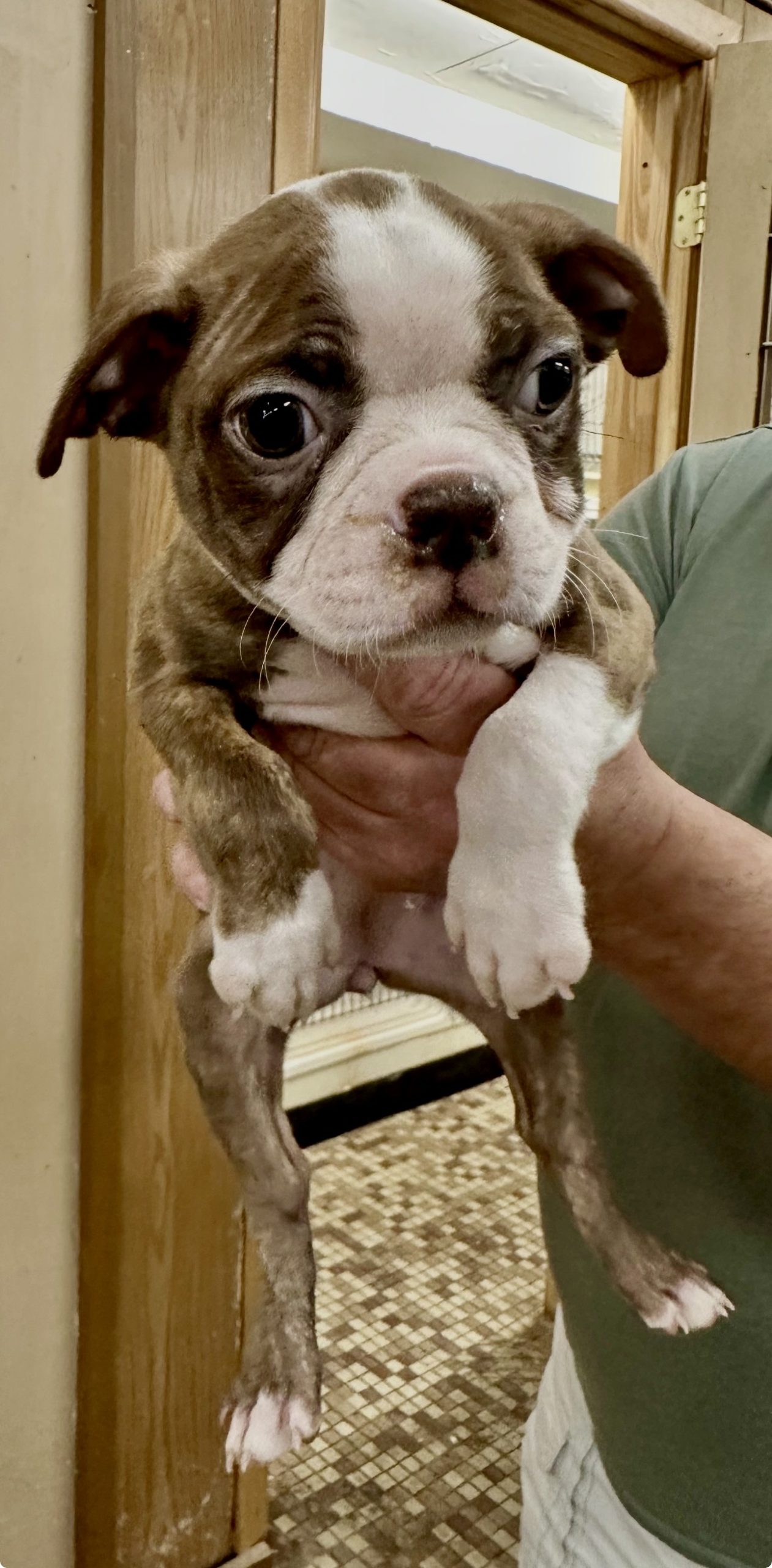 Family Pet Center photo 8