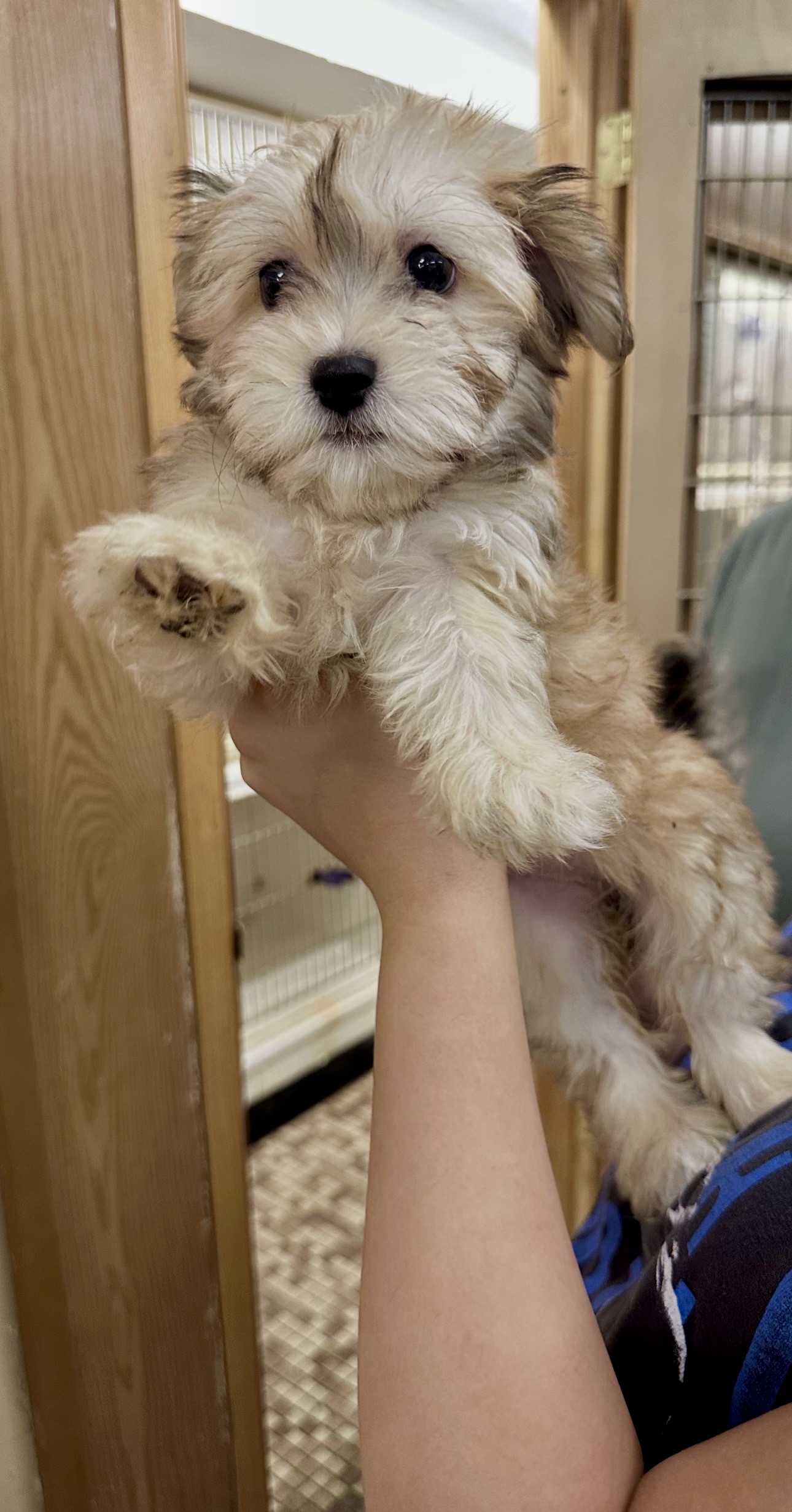 Family Pet Center photo 15