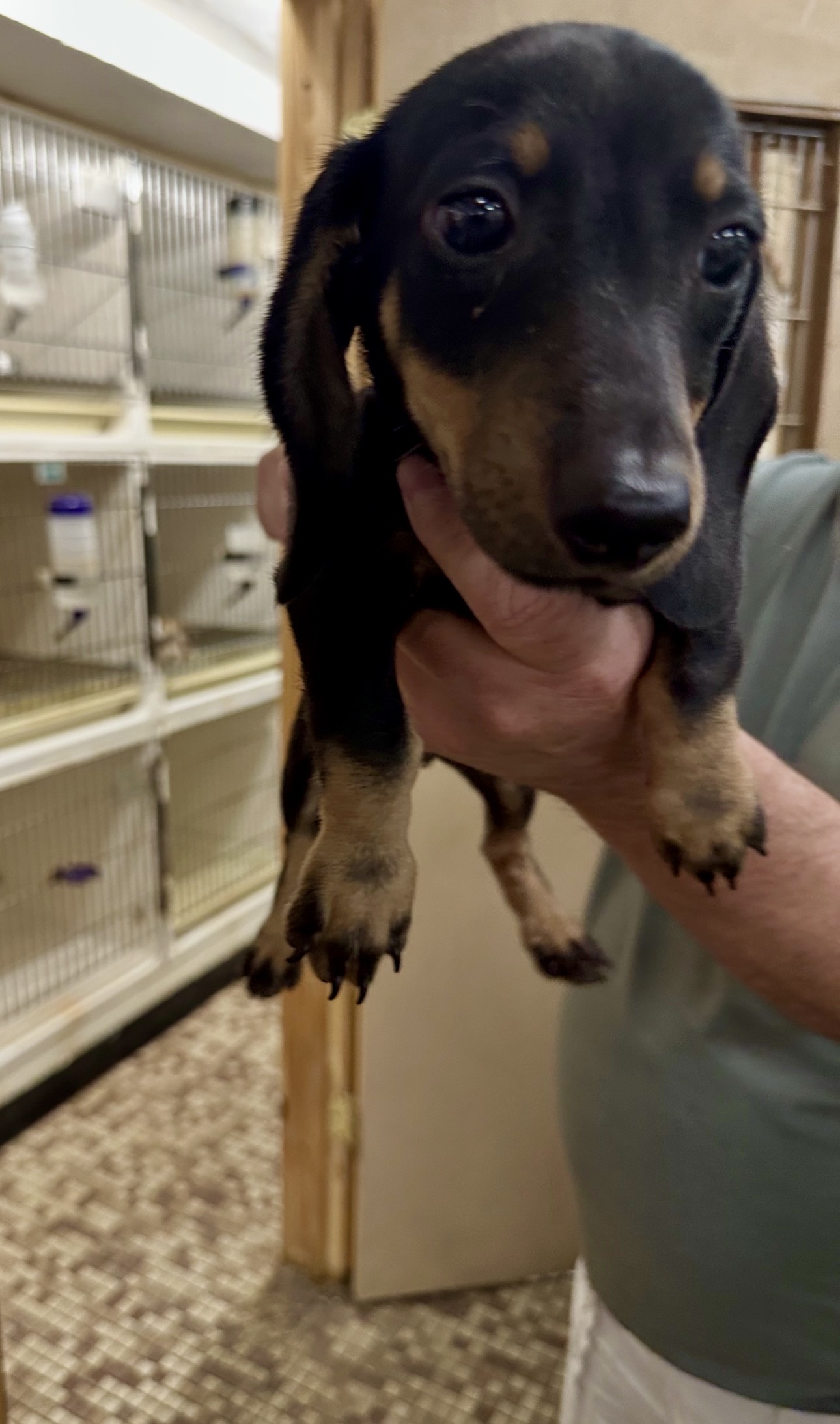 Family Pet Center photo 17