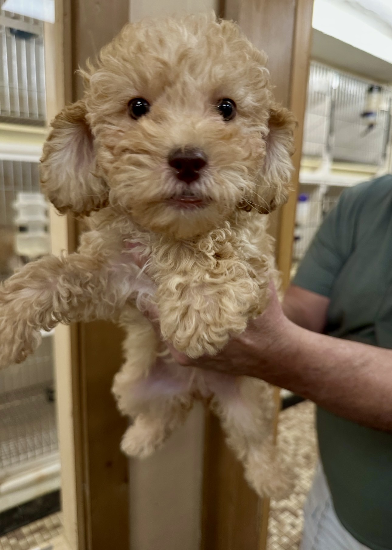 Family Pet Center photo 13