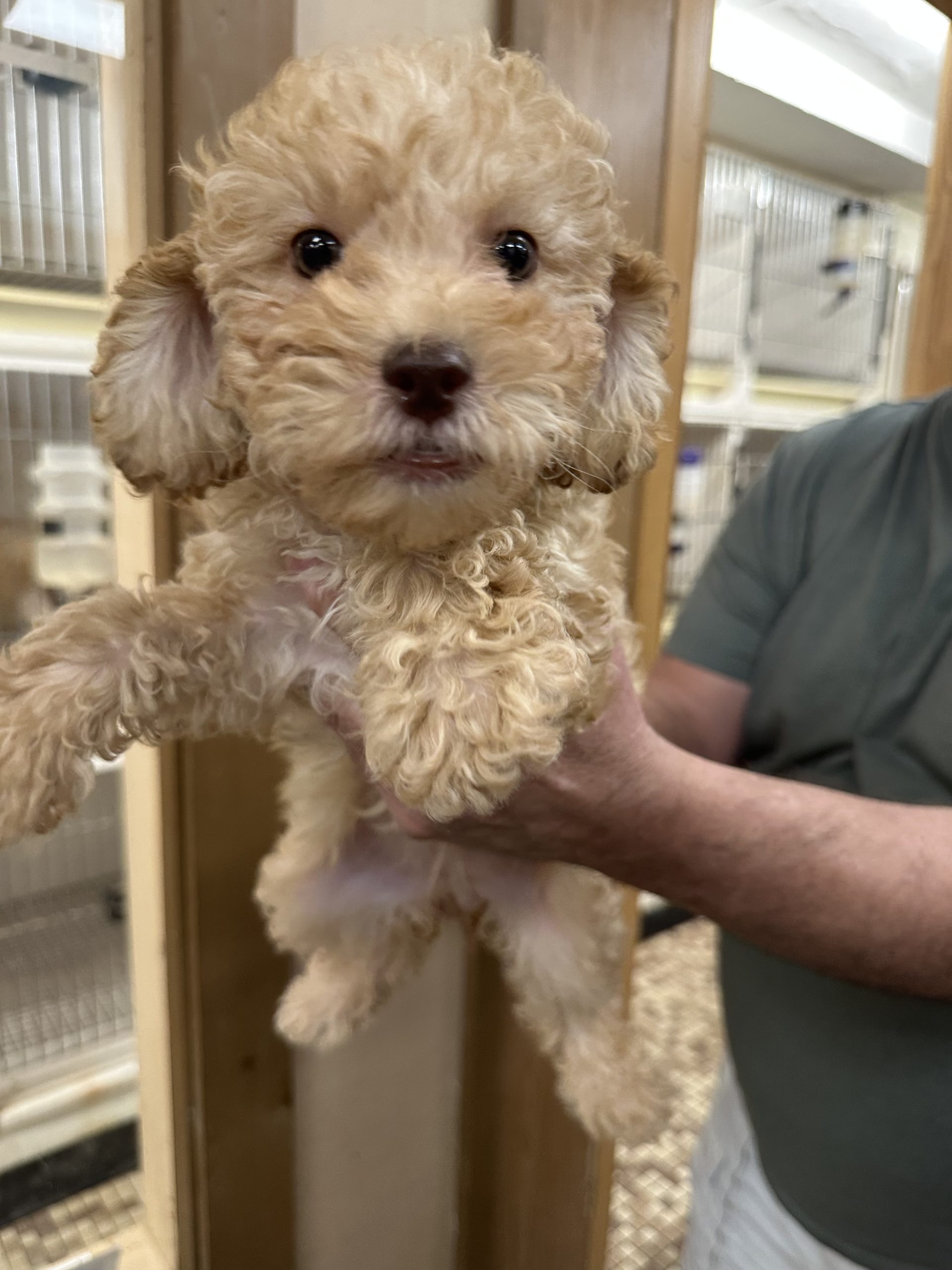 Family Pet Center photo 5
